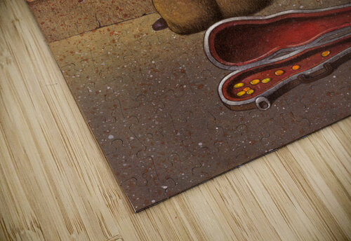 Violon Pawel Kuczynski puzzle