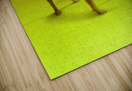 PawelKuczynski54 Pawel Kuczynski puzzle