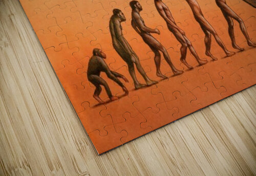 evolution Pawel Kuczynski puzzle
