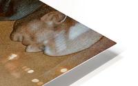 Cane HD Metal print