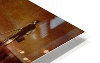 to the west HD Metal print