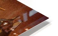 Dogs play HD Metal print