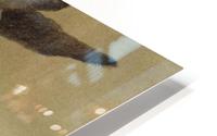 blinkers HD Metal print