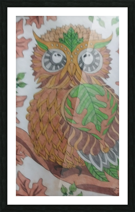 Owls Picture Frame print