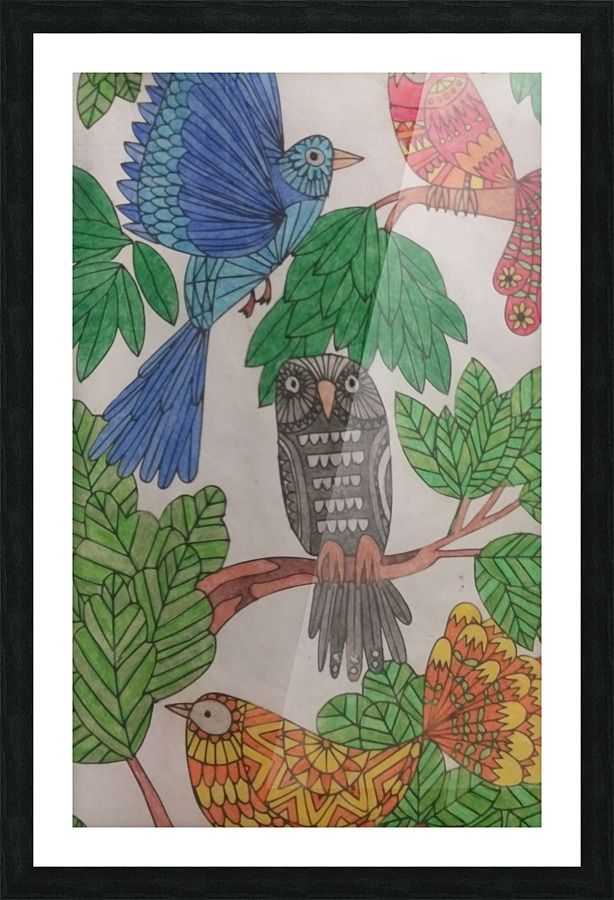 Owls Picture Frame print