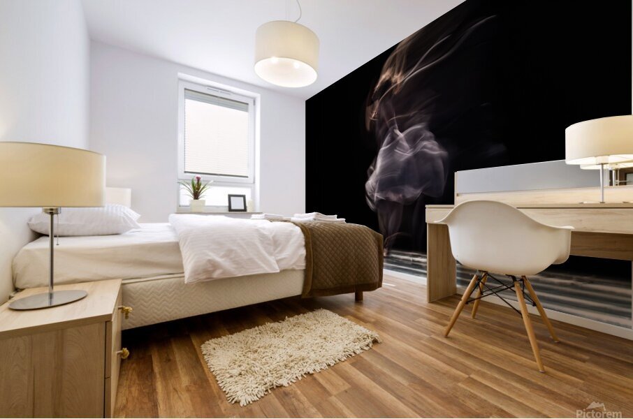 Soul Dance Mural print