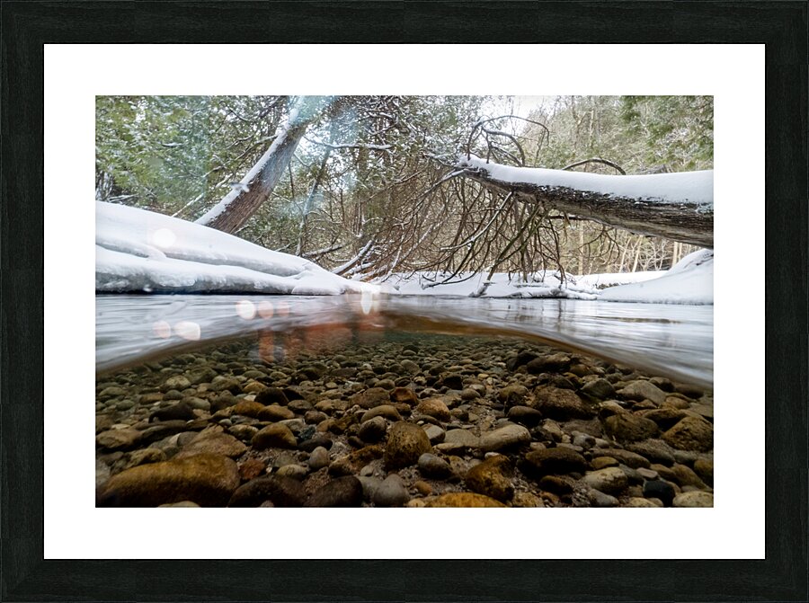 Winter stream 1 Picture Frame print