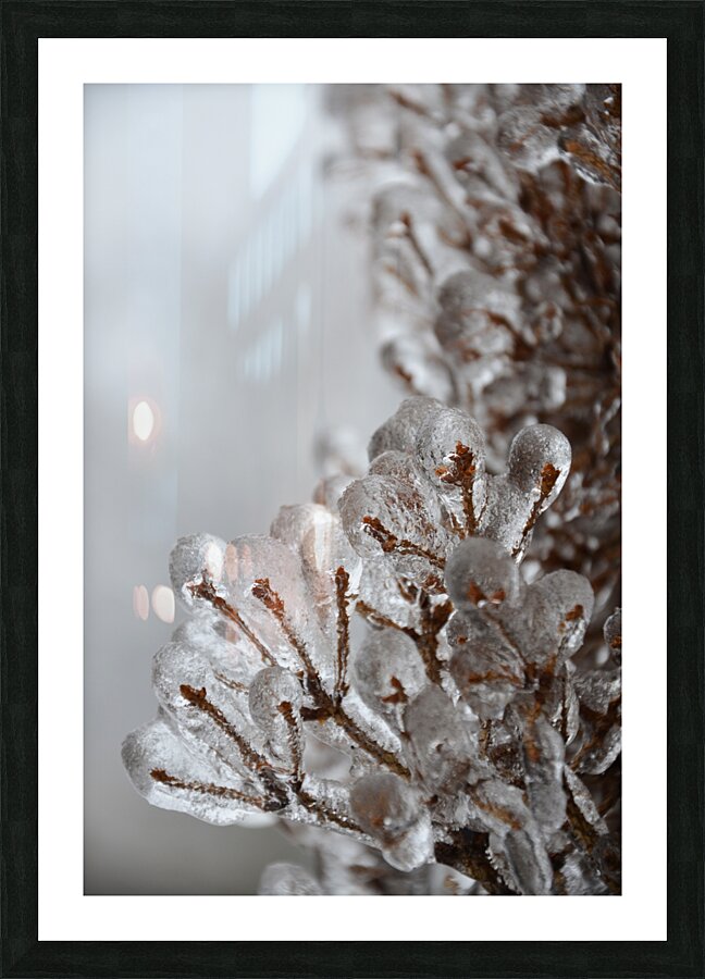 Ice storm Picture Frame print