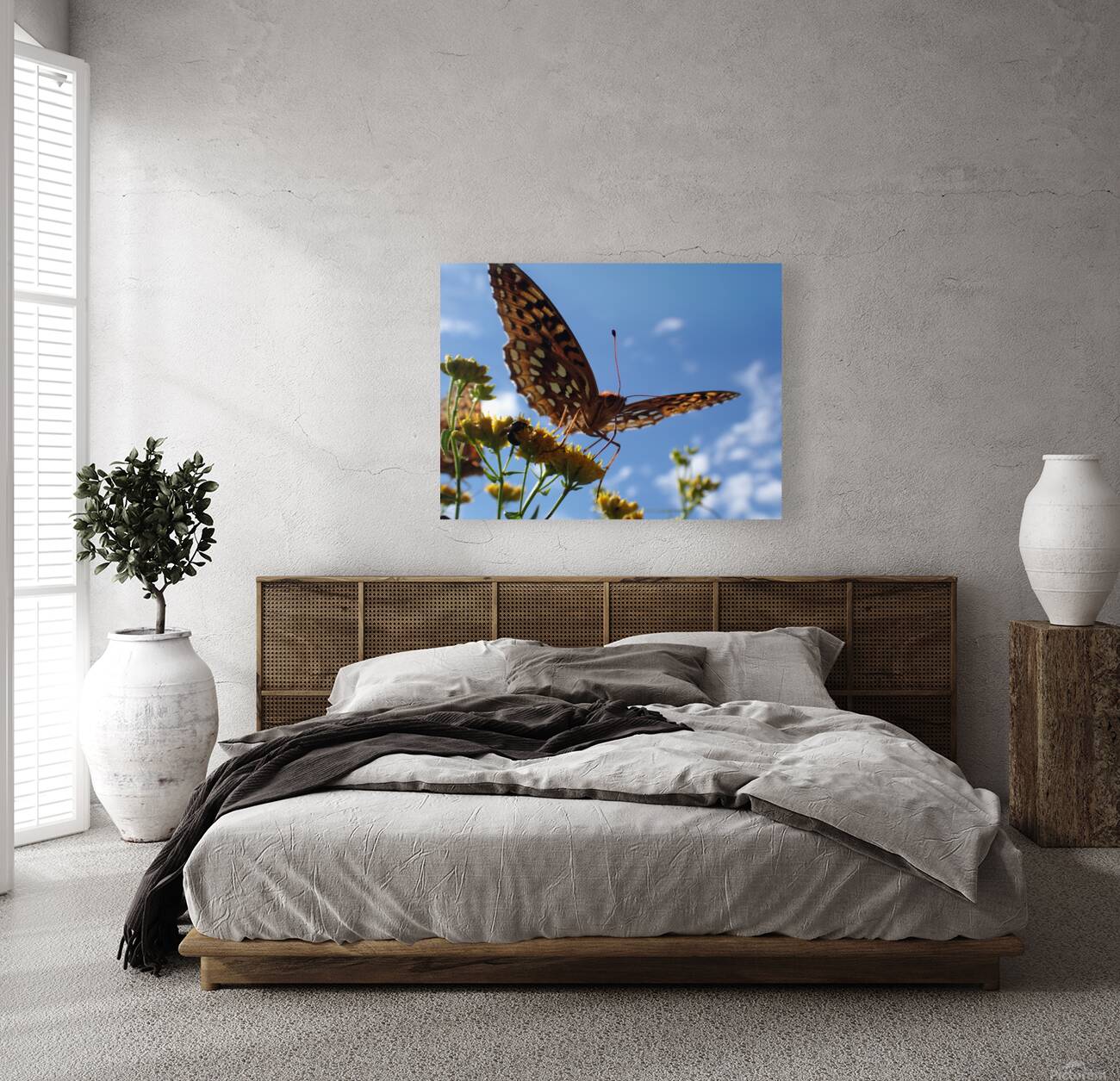 Butterfly Reproduction