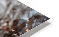 Ice storm HD Metal print