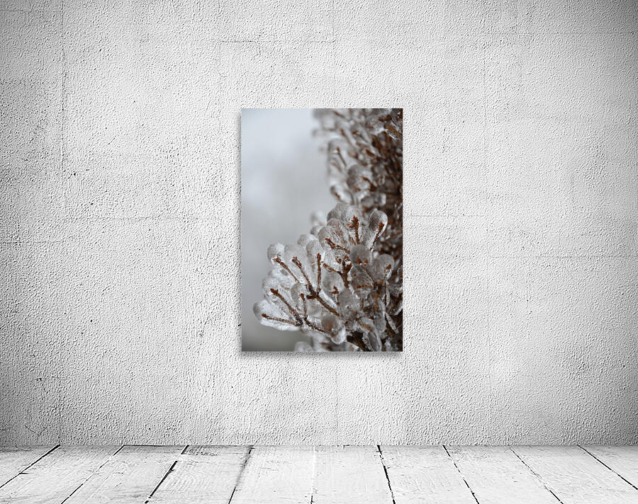 Ice storm Wall Preview
