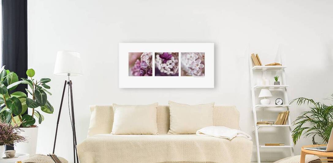 Lilac Medley Two by Cindy Moleski