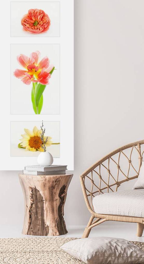 Tulip Peony and Sunflower by Cindy Moleski