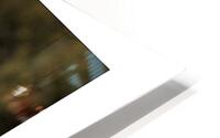 Egret Poster HD Metal print