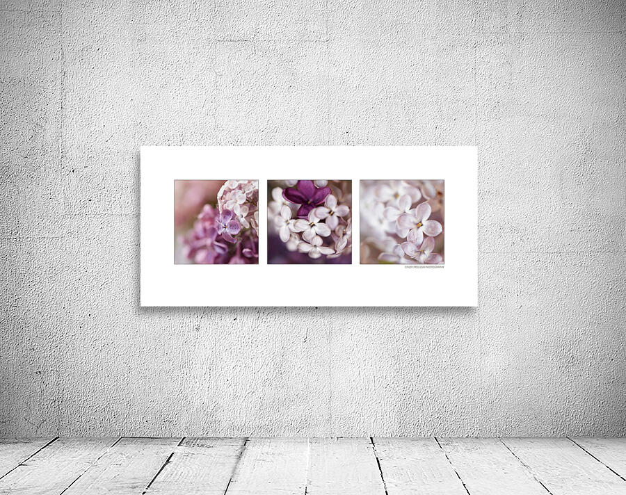 Lilac Medley Two Wall Preview