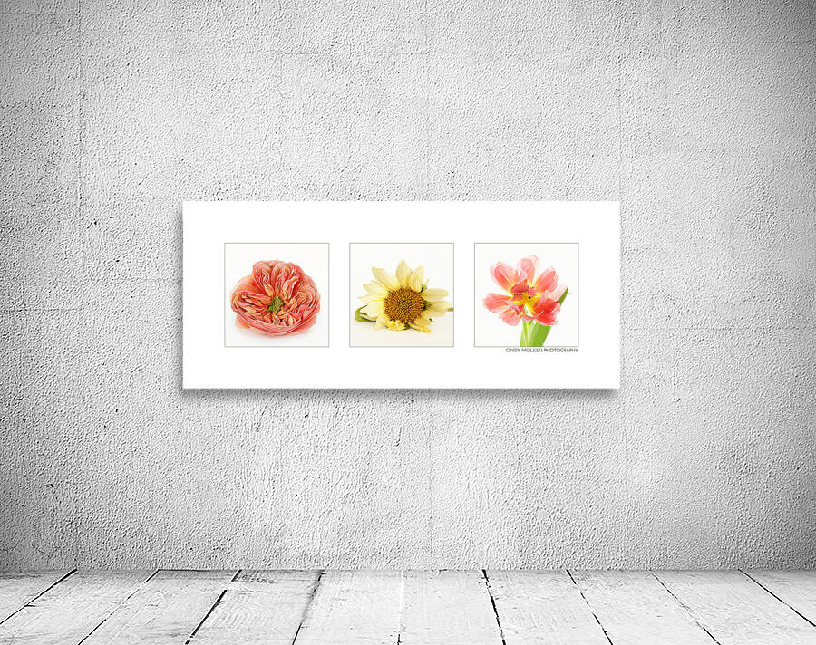 TulipPeony and Sunflower Horizontal Wall Preview