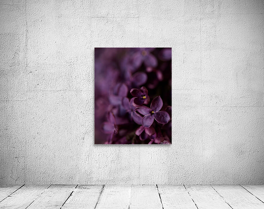Dark Lilac Wall Preview