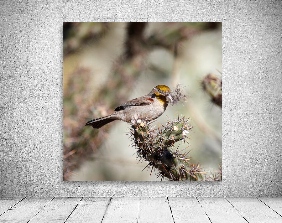 Feathering the Nest Wall Preview
