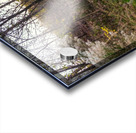 _DSC9300 Enhanced Acrylic print