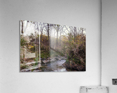 _DSC9300 Enhanced Acrylic Print