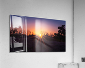 _DSC1470 Acrylic Print