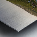Greenbelt ATX 2   final Metal print