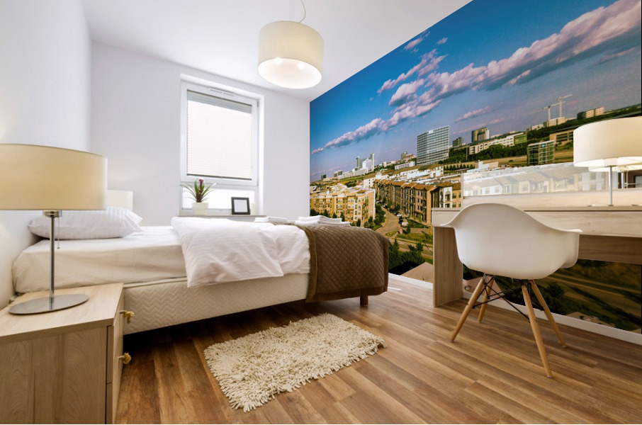 Frisco 30Ft Mural print