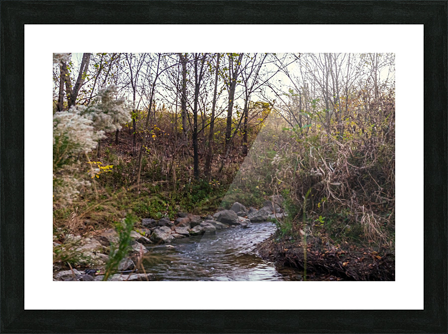 _DSC9300 Enhanced Picture Frame print