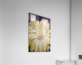 Golden Mum Acrylic Print
