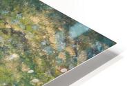 Madrone Valley HD Metal print