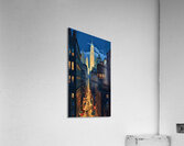The View Acrylic Print