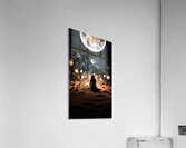 Desert Time Acrylic Print