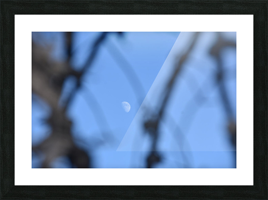 GAL 1508 Picture Frame print