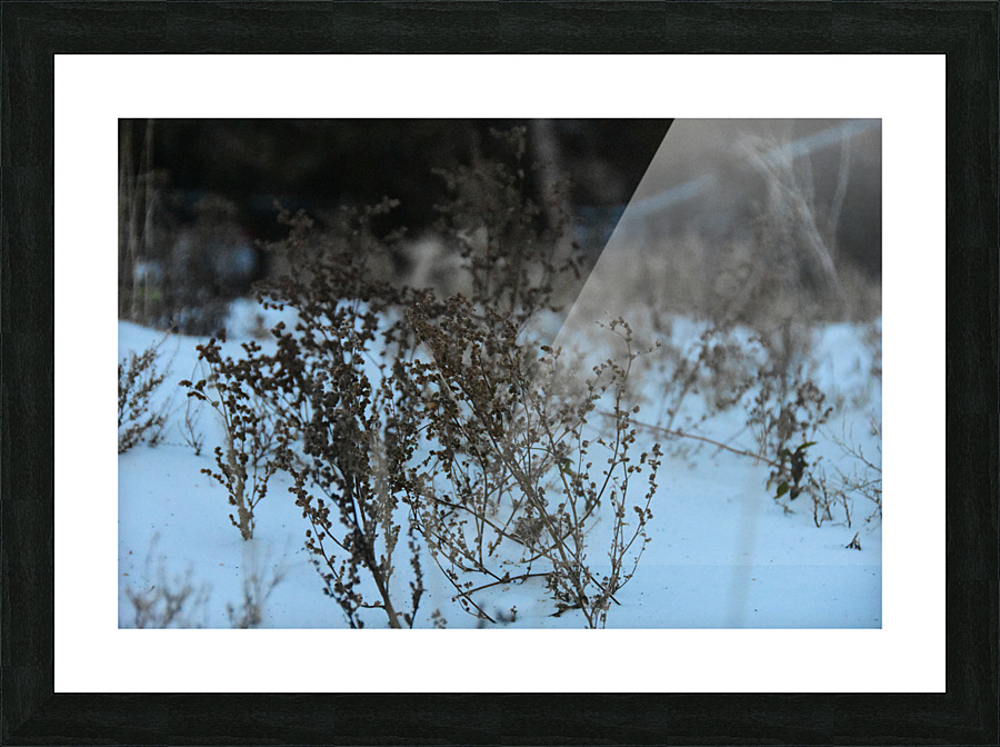 GAL 6788 Picture Frame print