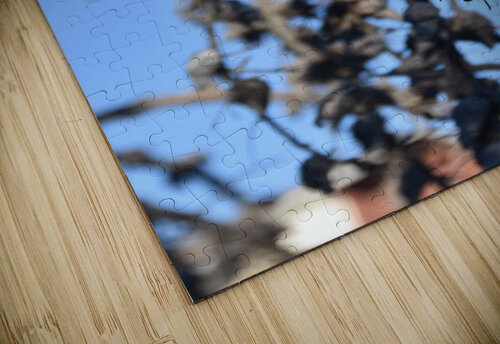 GAL 1497 George Lessard puzzle