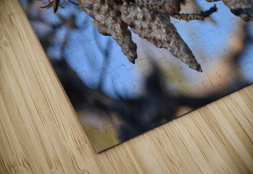 GAL 1503 George Lessard puzzle