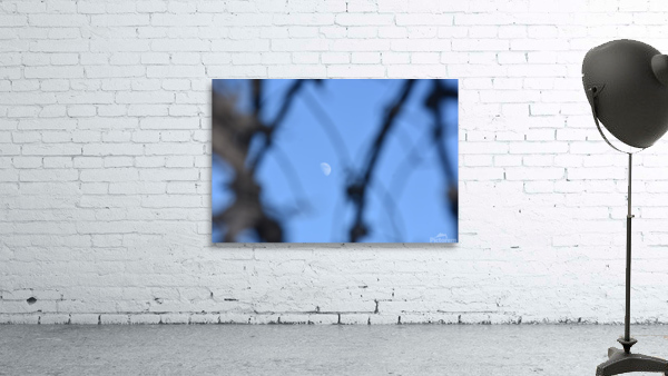GAL 1508 Wall Preview