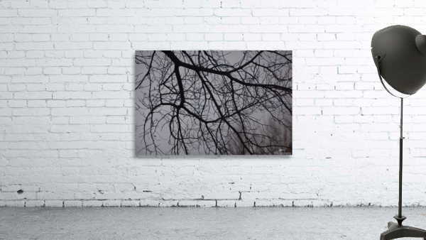 GAL 1541 Wall Preview