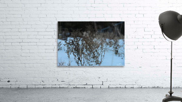 GAL 6788 Wall Preview