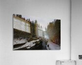 Winter Solitude Acrylic Print