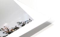 horizontals 31 HD Metal print