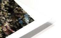 horizontals 82 HD Metal print
