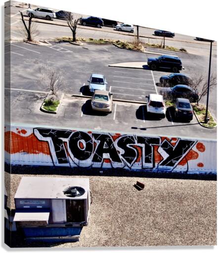 Toasty - Rooftop 183 Canvas Print