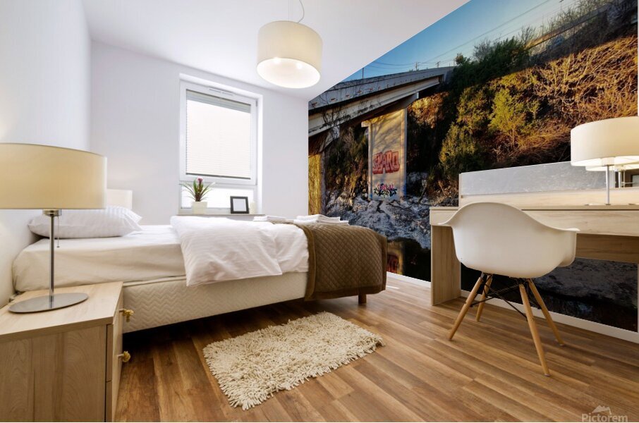 Sparo - OC Bridge Column Mural print