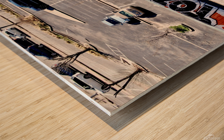 Toasty - Rooftop 183 Wood print