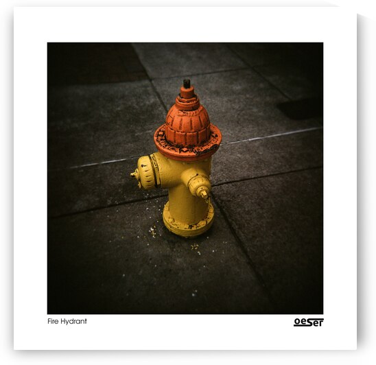 Fire Hydrant by george oeser fine art fotografie