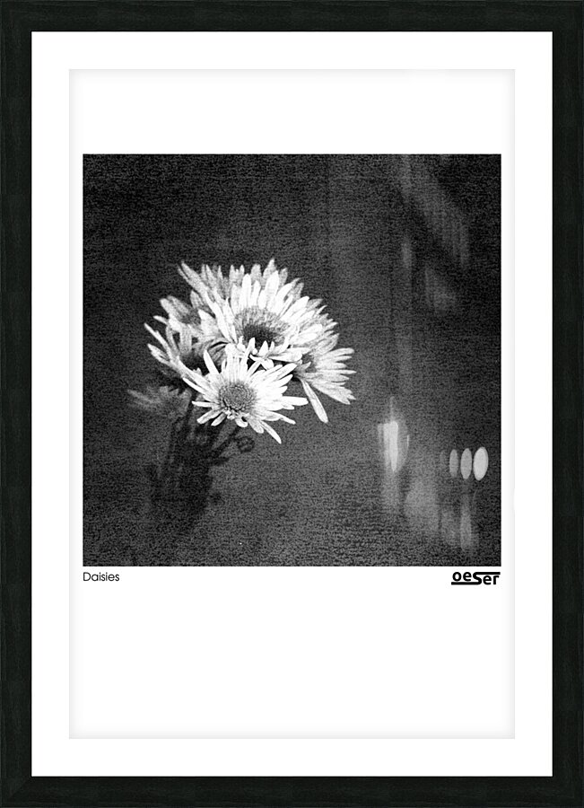 Daisies Picture Frame print