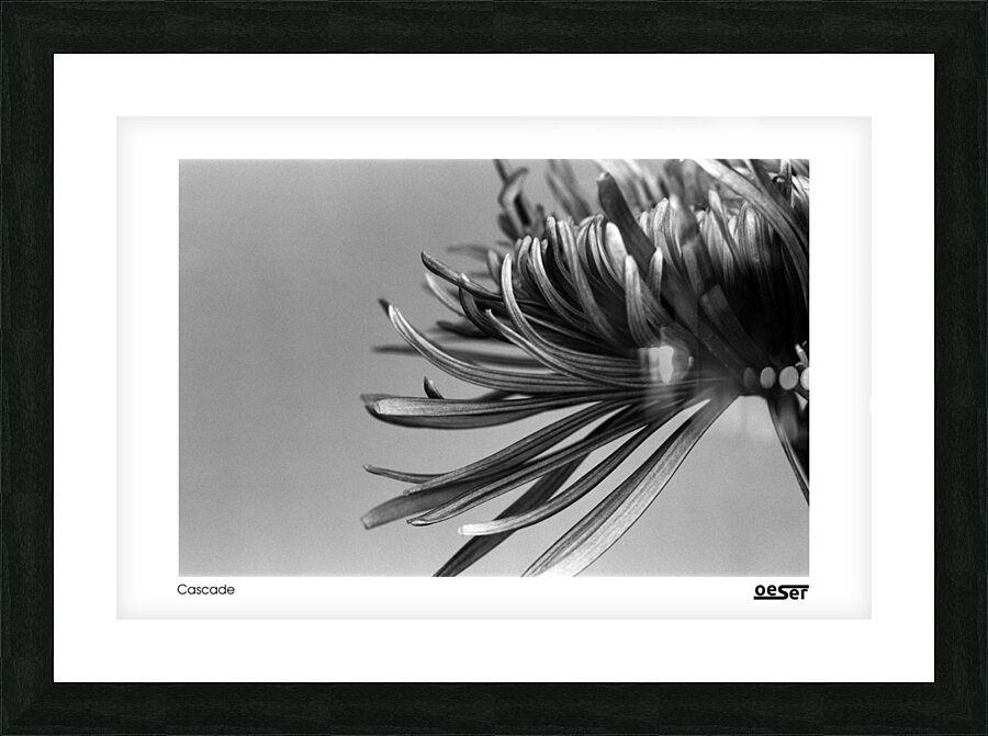 Cascade Picture Frame print