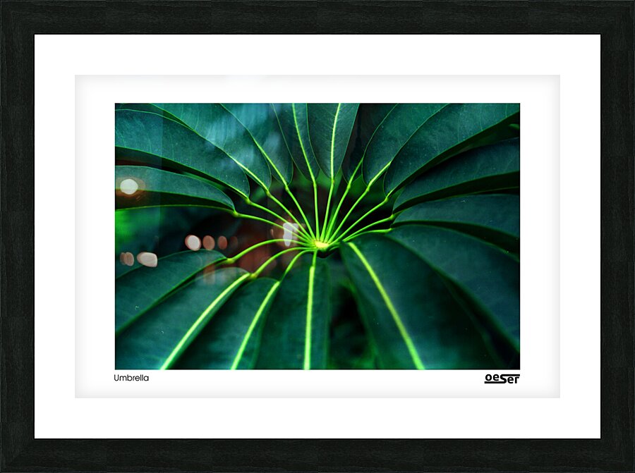 Umbrella Picture Frame print
