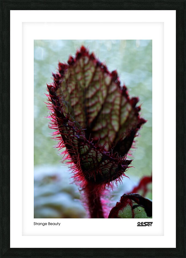  Fine Art print